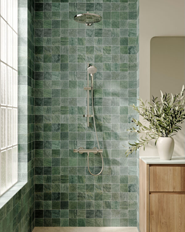 RIBESALBES QUARZ 10 x 20 MAT Prédécoupé – Image 3